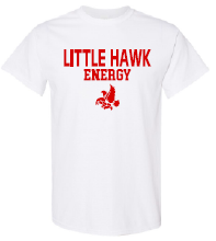 2024 Little Hawk Energy Gildan - Heavy Cotton™ T-Shirt