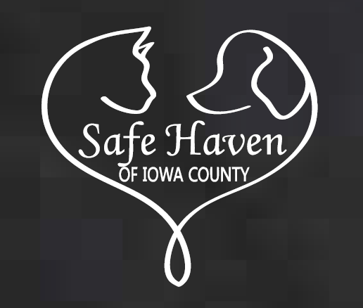 2026 Fall Safe Haven