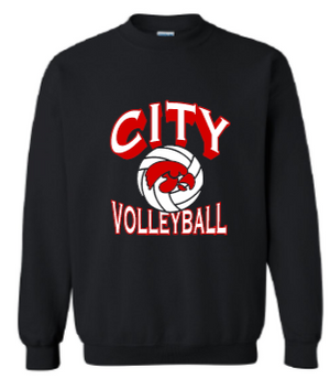 2025 City High Volleyball Gildan - Heavy Blend™ Crewneck Sweatshirt (Shadow Design)