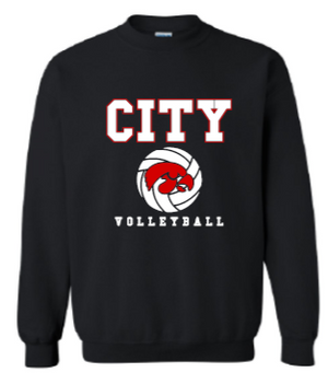 2025 City High Volleyball Gildan - Heavy Blend™ Crewneck Sweatshirt (Hawk Design)