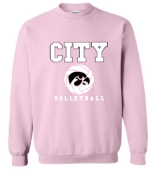 2025 City High Volleyball Gildan - Heavy Blend™ Crewneck Sweatshirt (Hawk Design)