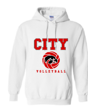 2025 City High Volleyball Gildan - Heavy Blend™ Hooded Sweatshirt (Hawk Design)