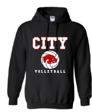 2025 City High Volleyball Gildan - Heavy Blend™ Hooded Sweatshirt (Hawk Design)
