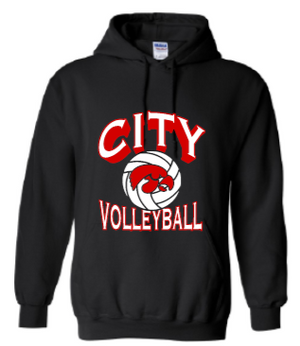 2025 City High Volleyball Gildan - Heavy Blend™ Hooded Sweatshirt (Shadow Design)