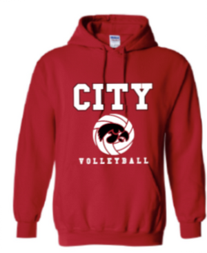 2025 City High Volleyball Gildan - Heavy Blend™ Hooded Sweatshirt (Hawk Design)