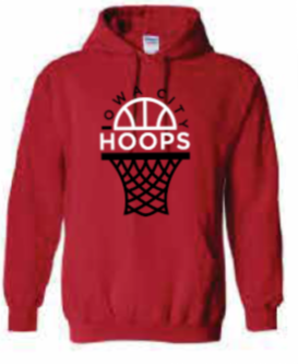2025 Iowa City Hoops Gildan - Heavy Blend™ Hooded Sweatshirt (Net Design)