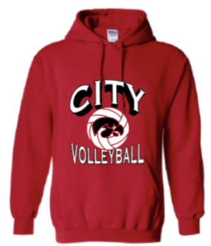 2025 City High Volleyball Gildan - Heavy Blend™ Hooded Sweatshirt (Shadow Design)