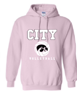 2025 City High Volleyball Gildan - Heavy Blend™ Hooded Sweatshirt (Hawk Design)
