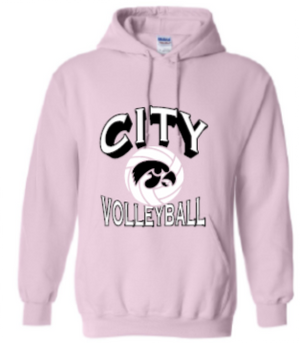 2025 City High Volleyball Gildan - Heavy Blend™ Hooded Sweatshirt (Shadow Design)