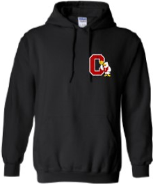 2024 City High Girls Basketball Gildan - Heavy Blend™ Hooded Sweatshirt (C Design)