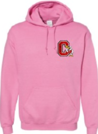 2024 City High Girls Basketball Gildan - Heavy Blend™ Hooded Sweatshirt (C Design)