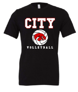 2025 City High Volleyball BELLA + CANVAS - Jersey Tee (Hawk Design)