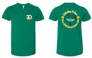 2025 Fall Safe Haven BELLA + CANVAS - <b>Youth</b> Jersey Tee