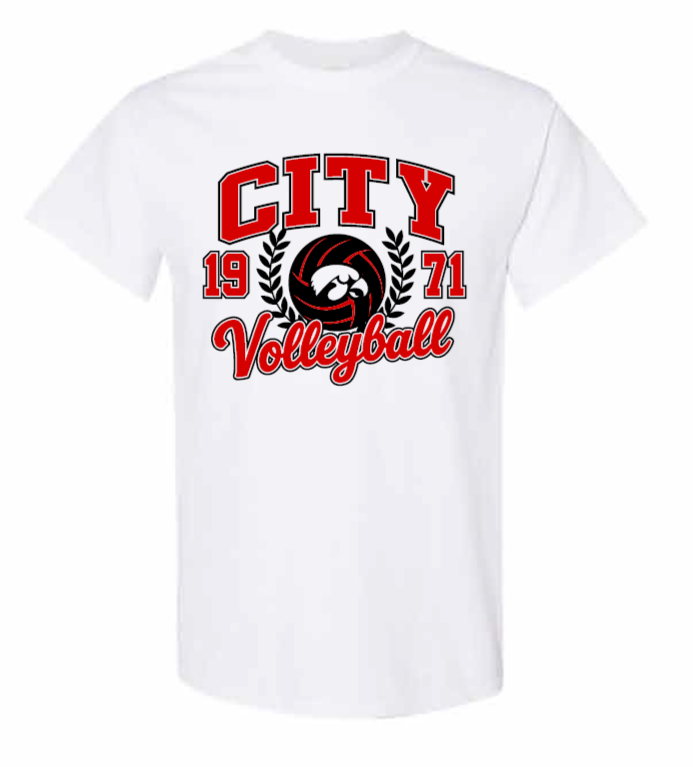 2026 City High Volleyball Gildan - Heavy Cotton™ T-Shirt