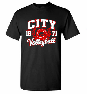 2026 City High Volleyball Gildan - Heavy Cotton™ T-Shirt