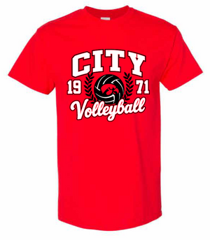 2026 City High Volleyball Gildan - Heavy Cotton™ T-Shirt