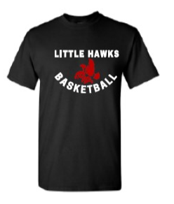 2024 City High Girls Basketball Gildan - Heavy Cotton™ T-Shirt (Hawk Design)