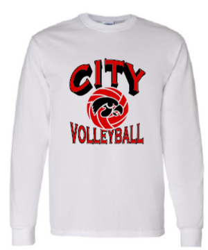 2025 City High Volleyball Gildan - Heavy Cotton™ Long Sleeve T-Shirt (Shadow Design)