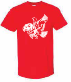 2025 Iowa City Hoops Gildan - Softstyle® T-Shirt (Herky Design)