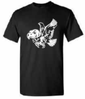 2025 Iowa City Hoops Gildan - Softstyle® T-Shirt (Herky Design)
