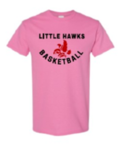 2024 City High Girls Basketball Gildan - Softstyle® T-Shirt (Hawk Design)