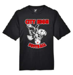 2026 City High Softball Men's Zone Performance T-Shirt