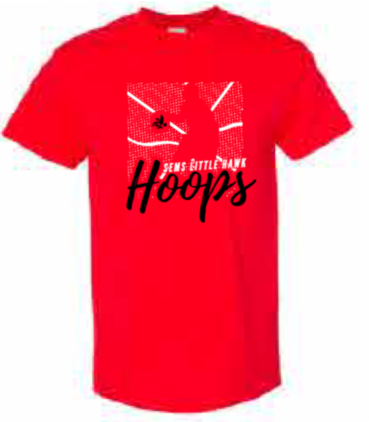 2025 Southeast Basketball Sports Gildan - Heavy Cotton™ T-Shirt (Hoops Design)