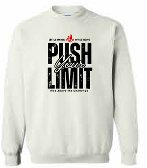 2025 Southeast Wrestling Gildan - Heavy Blend™ Crewneck Sweatshirt (Push Design)