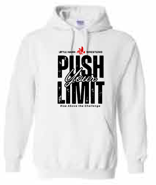 2025 Southeast Wrestling Sports Gildan - Heavy Blend™ Hooded Sweatshirt (Push Design)