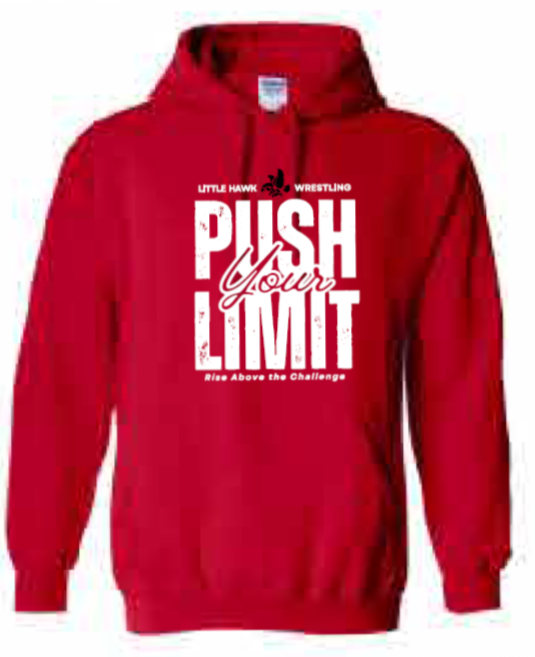 2025 Southeast Wrestling Sports Gildan - Heavy Blend™ Hooded Sweatshirt (Push Design)