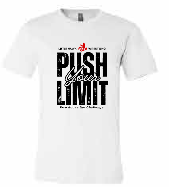 2025 Southeast Wrestling BELLA + CANVAS - Unisex CVC Jersey Tee (Push Design)