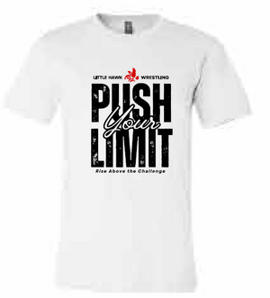 2025 Southeast Wrestling BELLA + CANVAS - Unisex CVC Jersey Tee (Push Design)