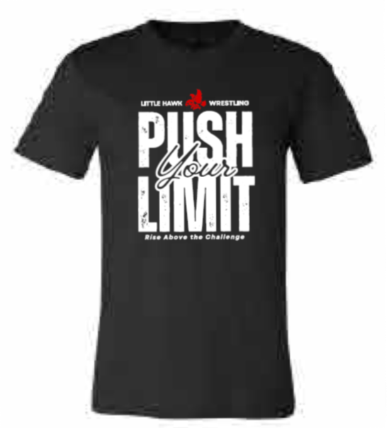 2025 Southeast Wrestling BELLA + CANVAS - Unisex CVC Jersey Tee (Push Design)