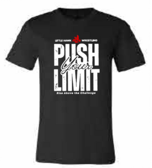 2025 Southeast Wrestling BELLA + CANVAS - Unisex CVC Jersey Tee (Push Design)