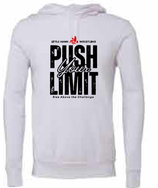 2025 Southeast Wrestling BELLA + CANVAS - Unisex Sponge Fleece Hoodie (Push Design)