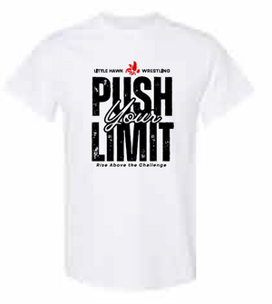 2025 Southeast Wrestling Sports Gildan - Heavy Cotton™ T-Shirt (Push Design)