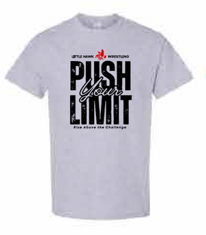 2025 Southeast Wrestling Sports Gildan - Heavy Cotton™ T-Shirt (Push Design)