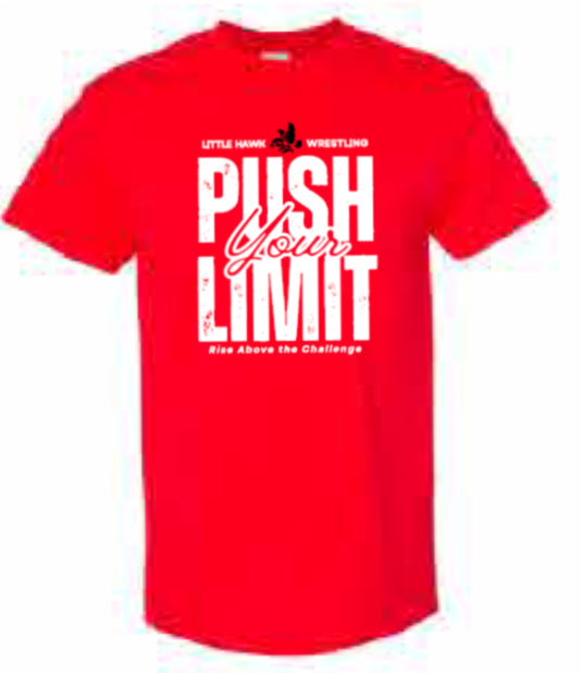 2025 Southeast Wrestling Sports Gildan - Heavy Cotton™ T-Shirt (Push Design)