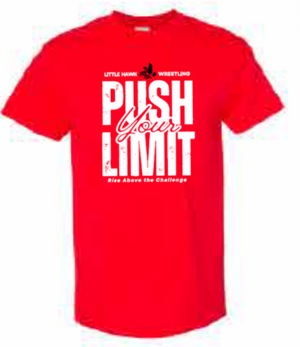 2025 Southeast Wrestling Sports Gildan - Heavy Cotton™ T-Shirt (Push Design)