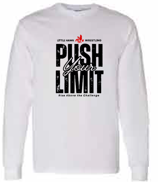 2025 Southeast Wrestling Gildan - Heavy Cotton™ Long Sleeve T-Shirt (Push Design)